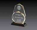 Large double plaqued acrylic award with a black mirrored insert