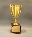 This is a gold color trophy cup mounted on a cherry colored FB cube base