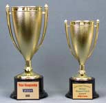 This is a image of two cold trophy cups mounted on round black synthetic bases