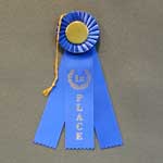 This is a image of a roset first place ribbon