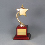 This is a image of a gold metal star mountrd on a high polished red wood cube base 