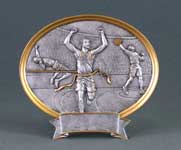 This is a image of a resin oval pewter tray featuring a track race